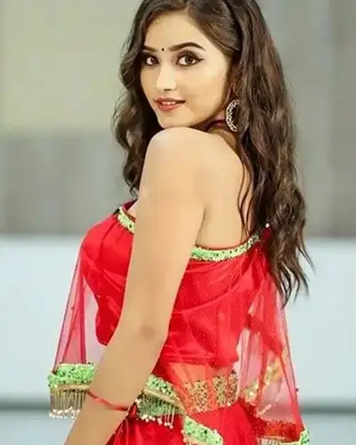 Call Girls Service Modasa